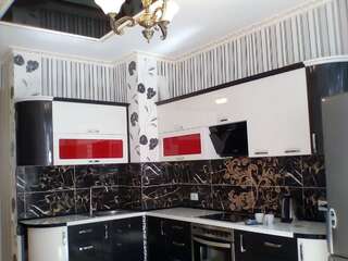 Апартаменты Kiparis Одесса Апартаменты с 1 спальней-4