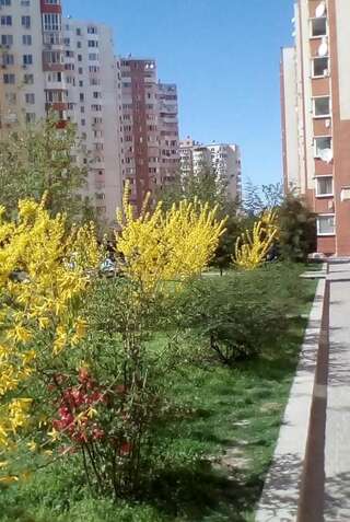 Апартаменты Kiparis Одесса Апартаменты-16